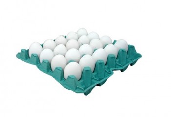 Ovos Branco Pente com 20 Unidades