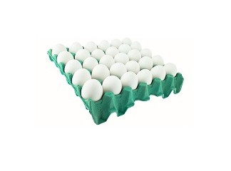 Pente de Ovos Brancos com 30 Unidades