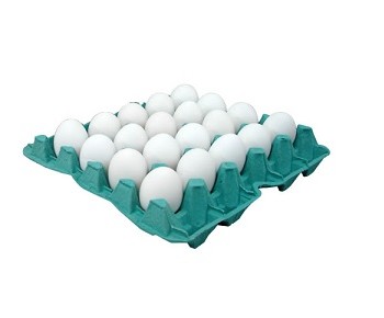 Ovos Branco Pente com 20 Unidades